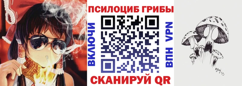 Псилоцибиновые грибы прущие грибы  цена   Саратов 